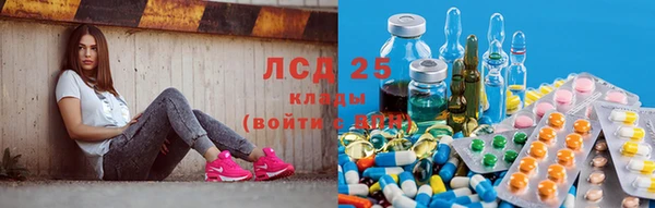 герыч Алексин