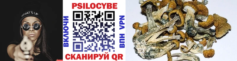 Галлюциногенные грибы Cubensis  Краснообск 